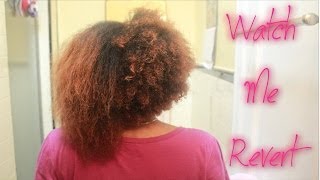 Natural Hair | Reversion? Heat Damage? Did My Curls Come Back?