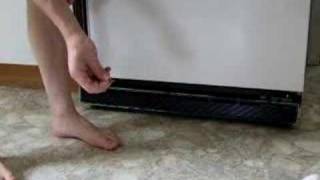 Stupid Cat Tricks
