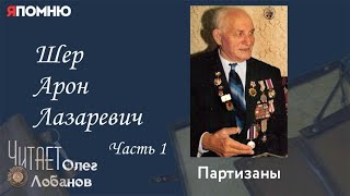 Шер Арон Лазаревич. Часть 1. Проект "Я помню" Артема Драбкина. Партизаны
