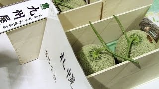 夕張メロンの初競り
