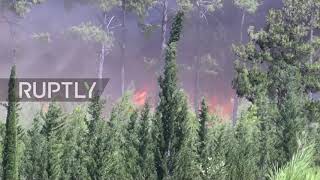Turkey: Forest fire rages for fourth day in Bodrum