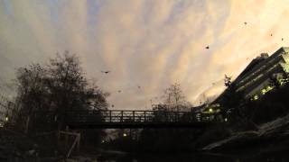 As the crows fly