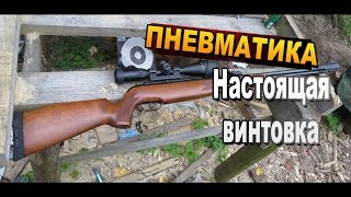 Настоящая пневматическая винтовка GAMO CfxRoyal / ТТХ, пули, стрельба и тюнинг / Sekretmastera