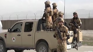 Афганские талибы и кризис в Казахстане