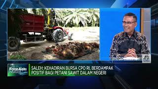 Bursa CPO dan Harapan Baru Bagi Petani