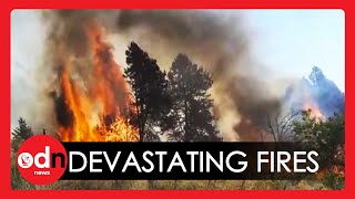 Argentina Wildfires Leave Dozens Injured and Ravage 2,000 Hectares of Land