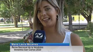 SAN CARLOS   MICAMES   VENDIMIA