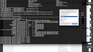 iTunes 12.1.0.50 and OS X 10.10.3, will not quit