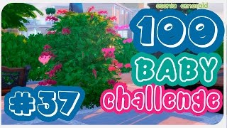 The Sims 4 - 100 Baby Challenge #37 Вуху в кустах