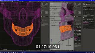 Blender Skull Fast Modelling