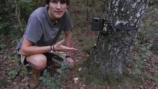 Jagd Wildkamera richtig aufstellen