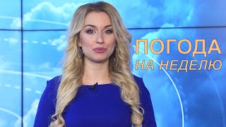 Прогноз погоды с 12 по 18 апреля 2021. Лунный календарь садовода // Погода на неделю