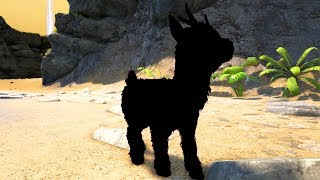 EL ARMA SECRETAAAAA!! - MAPACHES TEK - EPISODIO 07! ?⚡