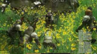 Last Online - PvP/PvE