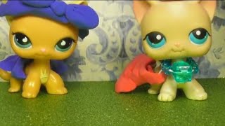 LPS: Посылка от канала Sveta LPS cat girl