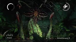 Batman:Arkham Asylum. Часть 5
