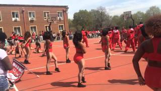 WSSU h20 Drumline & Scarlet Lace Dancers