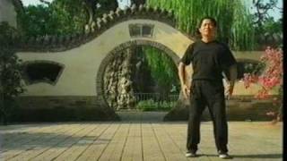 Zhan zhuang (站桩) day 1