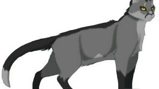 Гороскоп)Злых Котов Воителей (Пишите в комментариях кто Вы??)