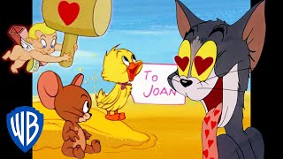 Tom y Jerry en Español | El amor está en el aire