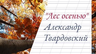 "Лес осенью" А.Твардовский - Видеостих