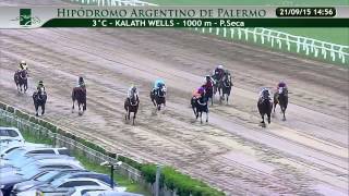 Bamb Nistel - Debut y triungo