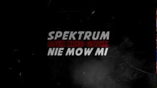 SPEKTRUM -  Nie mów mi (2013)