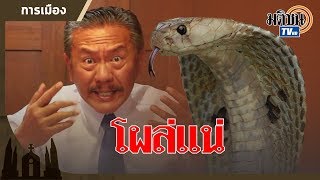 เลือกตั้ง 62 ชูวิทย์ ทำนาย งานนี้ งูเห่าโผล่แน่! : Matichon TV