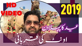 Camel qurbani