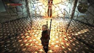 145. Let's Play The Witcher 2: Assassins of Kings - Enter The Dragon: A Fatal Flaw
