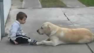 Little Boy w Down's Syndrome & His Dog - Unconditional Love of Man's Best Friend
