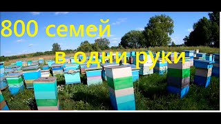 На пасеке Николая ??? .Пасека 500+???? семей. Точок №1