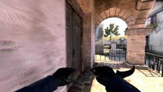 pashaBiceps vs fnatic - AK-47 SPRAYDOWN!
