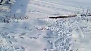 Super дед Фёдор
