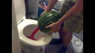 Sick watermelon