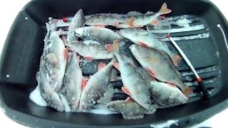 Ловля крупного окуня на Чебоксарском водохранилище