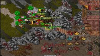 Revolusons Vs Never Rushback