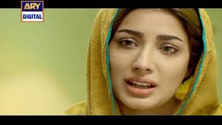 Final Episode of Ary Drama Serial Dillagi Part 3.