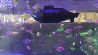 Micro RC Submarine Review
