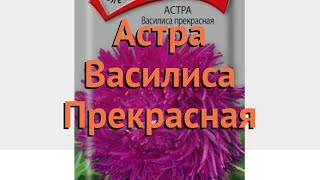 Астра обыкновенная Прекрасная (prekrasnaya) ? Прекрасная обзор: как сажать, семена астры Прекрасная