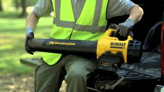 DEWALT XR Blower Review Tom