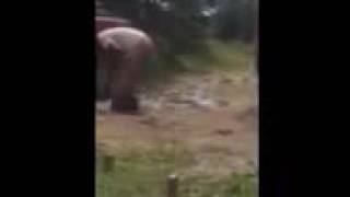 Guy tries peeing like a girl and accidently poops