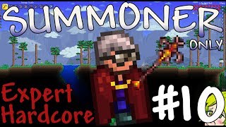 Terraria Expert Hardcore Summoner Only #10