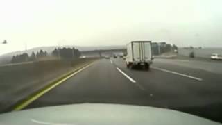 Внезапно газель
