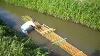 Una zattera di bambù a Cremona (bamboo raft making)