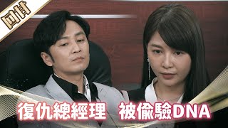 《好戲回甘》市井豪門 EP101 復仇總經理 被偷驗DNA