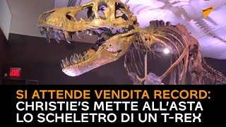 Christie’s, all’asta lo scheletro di un T-Rex