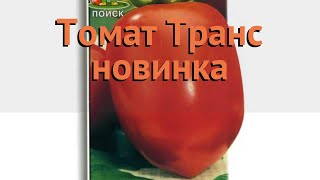 Томат обыкновенный Транс новинка (trans novinka) ? обзор: как сажать, семена томата Транс новинка