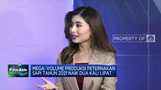 Strategi dan Prospek Bisnis Pangan WMPP Di 2022