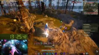 Tamer lvl 1-50 in 23min29 || Black Desert Online